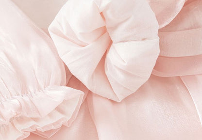 Pink Organza Romper with Cotton Lining (complementary Hair Band)