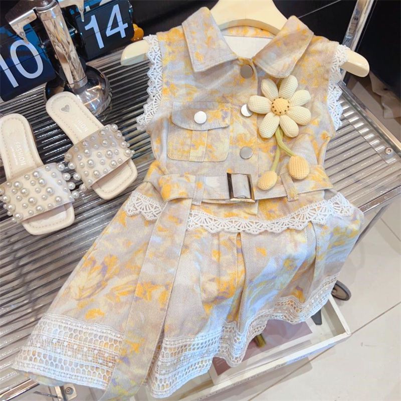 Sun Blush Frock