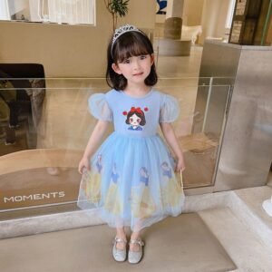 Little Snow Princess Tulle Dress