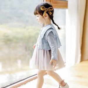 Denim Daydream Tulle Dress