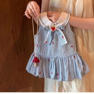 Strawberry Charm Dress