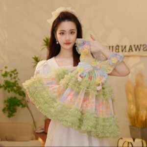 Enchanted Rainbow Butterfly Gown